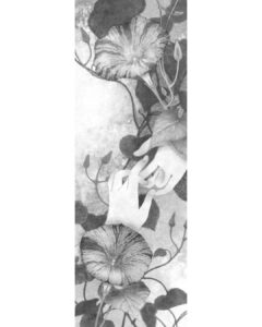 小説新潮「朝顔の嘘」井上真偽 PB:新潮社
